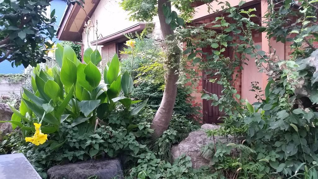 "Cherry House" Is Direct To Narita,Haneda Ap, Disney, Asakusa, Skytree Tower, Tokyo Мацудо Екстер'єр фото