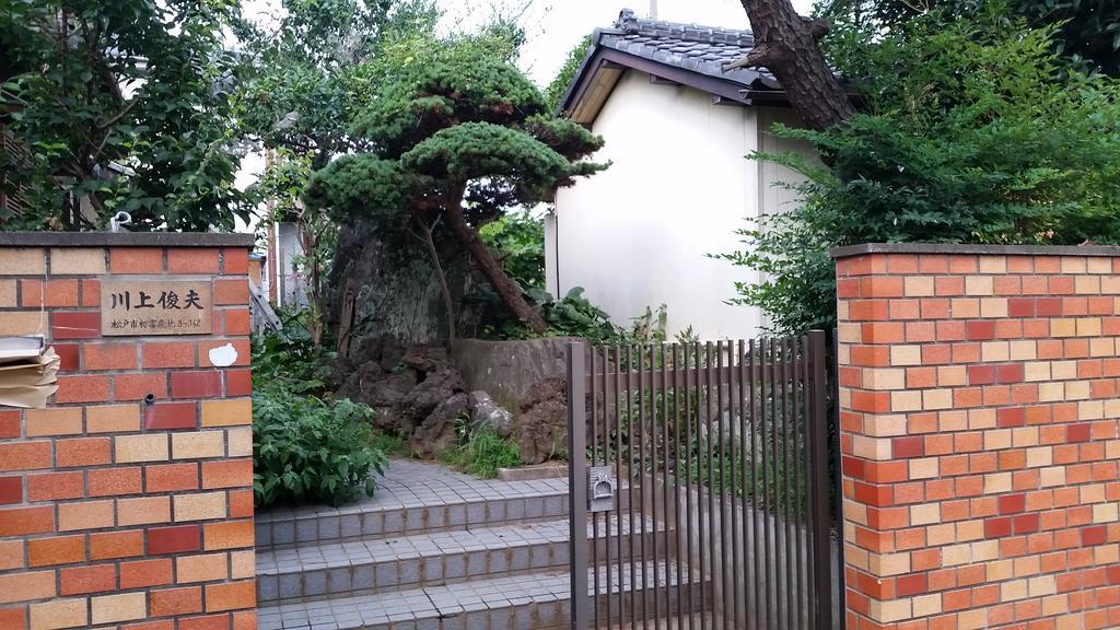 "Cherry House" Is Direct To Narita,Haneda Ap, Disney, Asakusa, Skytree Tower, Tokyo Мацудо Екстер'єр фото
