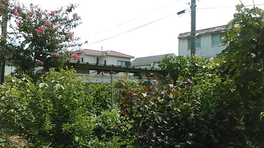 "Cherry House" Is Direct To Narita,Haneda Ap, Disney, Asakusa, Skytree Tower, Tokyo Мацудо Екстер'єр фото